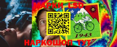 apvp Камышлов