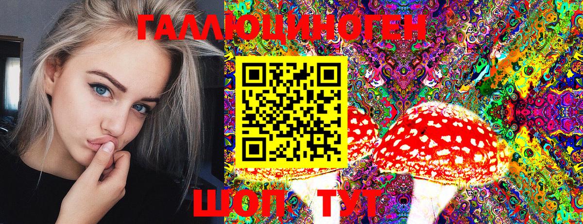Кудрово  Псилоцибиновые грибы Magic Shrooms  Вход с VPN 